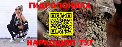 крисы Сланцы