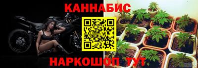 крисы Сланцы