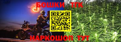 крисы Сланцы