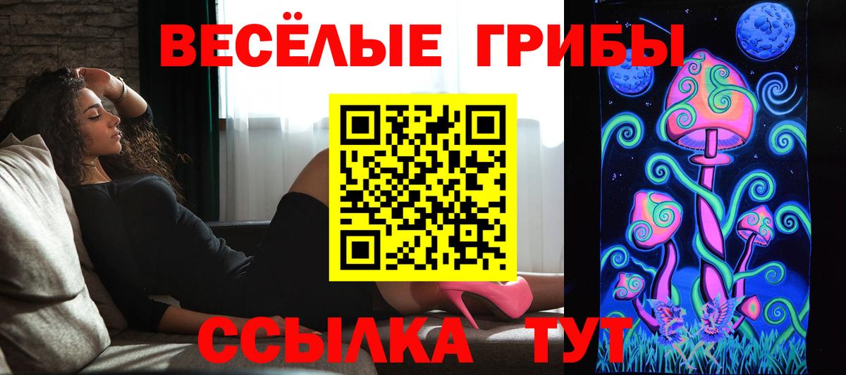 Псилоцибиновые грибы ЛСД  Псилоцибиновые грибы GOLDEN TEACHER  Ярцево  Вход с VPN 